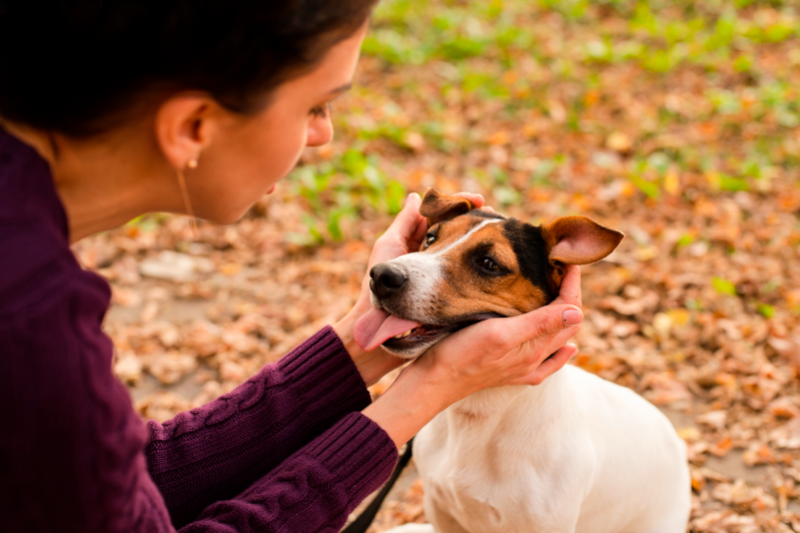 Radiobastides - Initiatives Citoyennes L'émotion chez les animaux