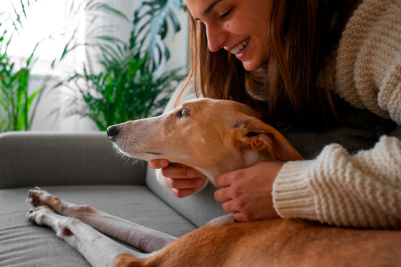 Radiobastides - Initiatives Citoyennes Amandine Sopetti - Se former pour adopter un compagnon animal