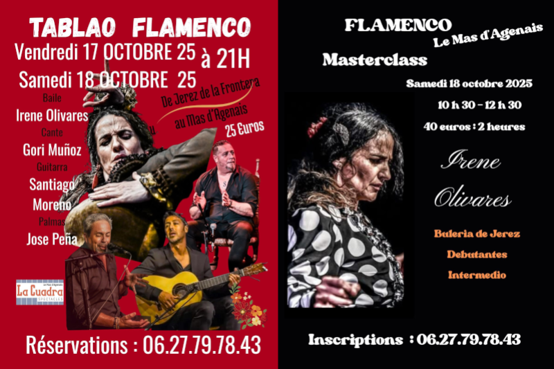 Radiobastides - Initiatives Citoyennes Deux journées Flamenco au Salon La Cuadra