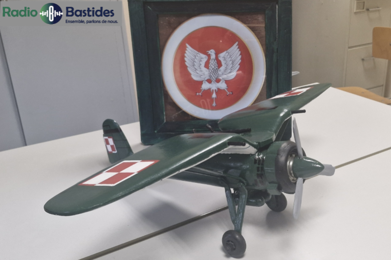 Jorris Borderie - Le PZL-P11