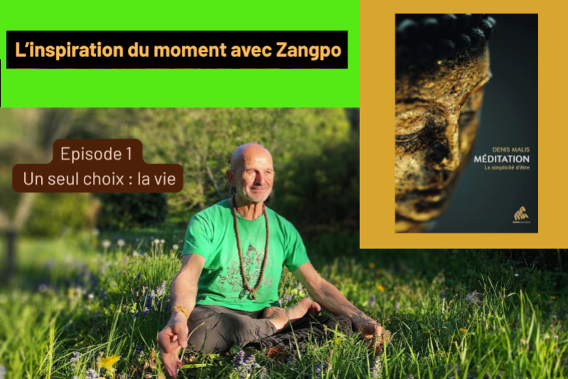Denis Malis, avec Zangpo, un seul choix, la vie