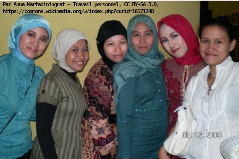 Un voile qui fait débat