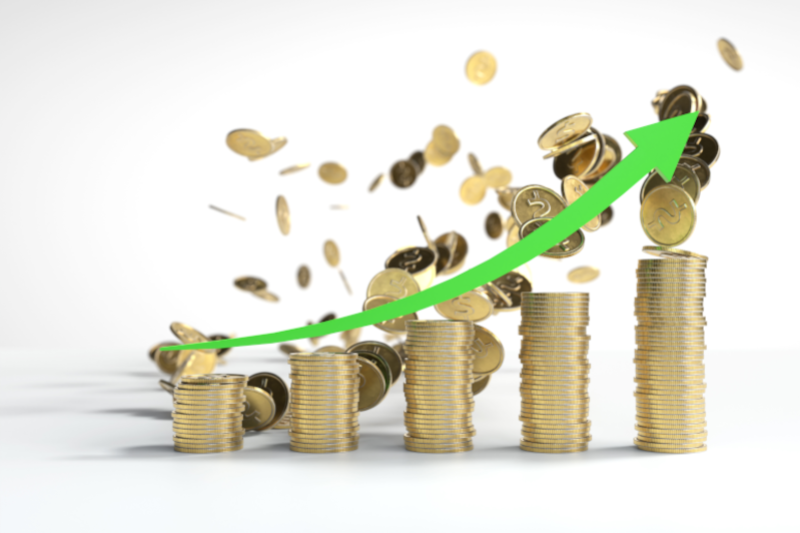 Une société sans profit