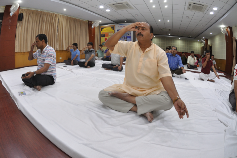 Virginie Rosier - Le Pranayama