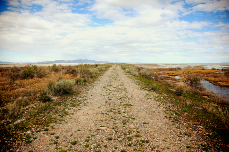 Ouvrir les chemins de l'espoir
