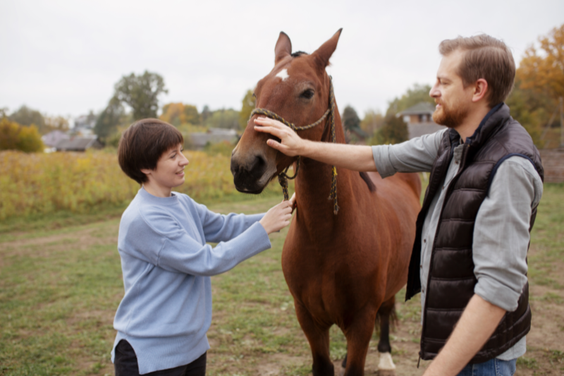 Amandine Sopetti - Stages de formation