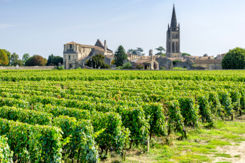 Parlons terroir - Le vignoble bordelais en crise