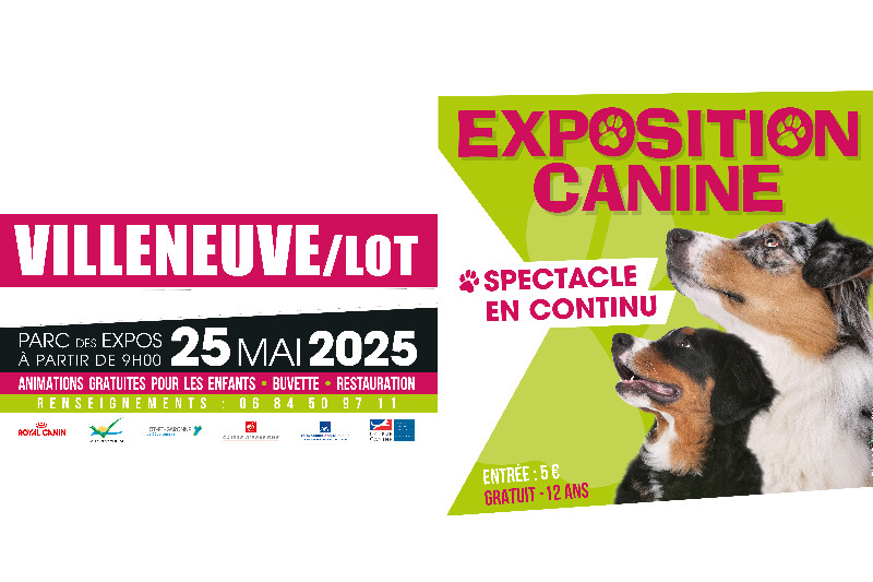 Exposition canine à Villeneuve-sur-Lot