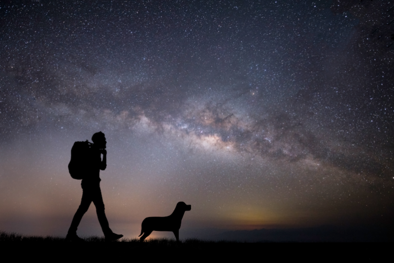 La petite chienne de Sirius