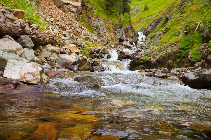 L'eau, un besoin vital !