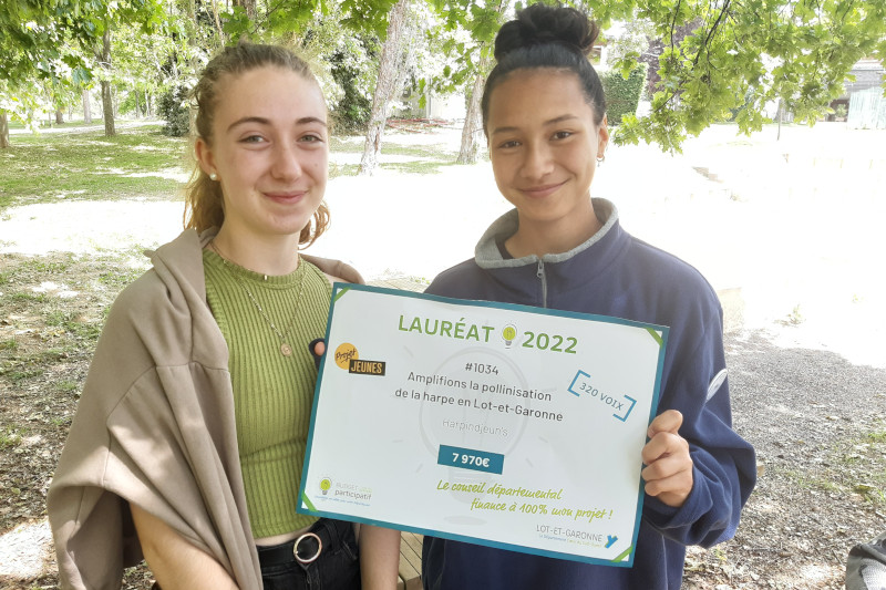 Junior association - Les harpes
