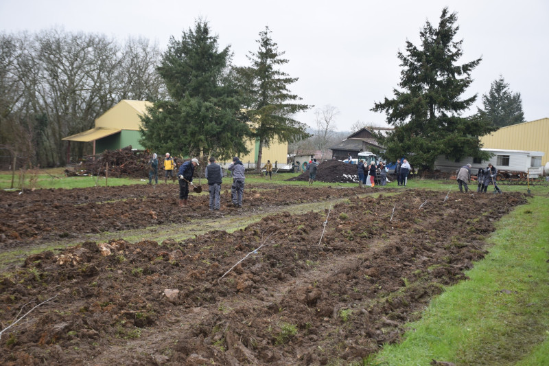 Radiobastides - Initiatives Citoyennes Plantation de fruitiers