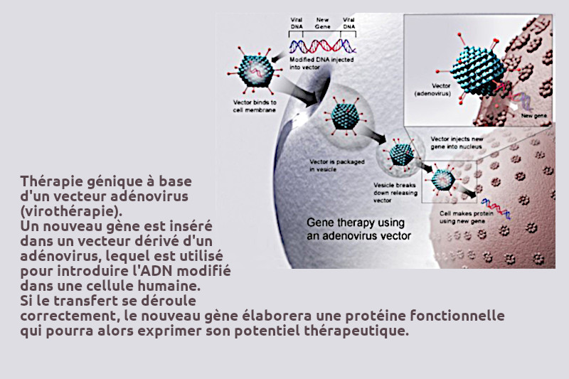 Radiobastides - La Science en questions La thérapie génique