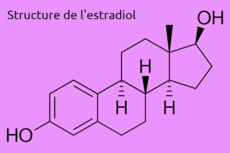Radiobastides - La Science en questions L'estradiol