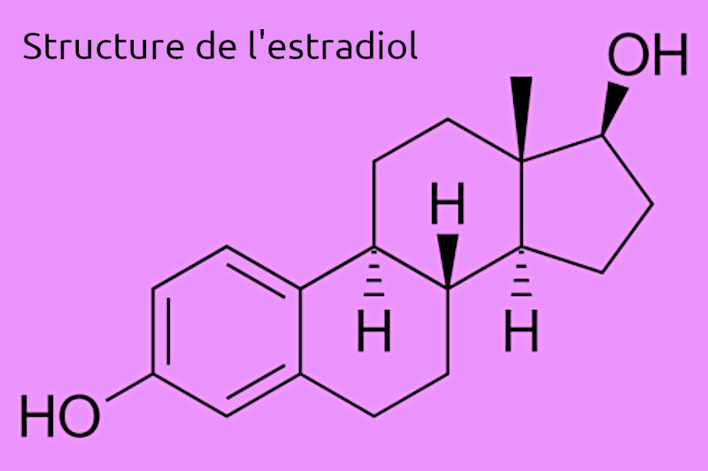 L'estradiol