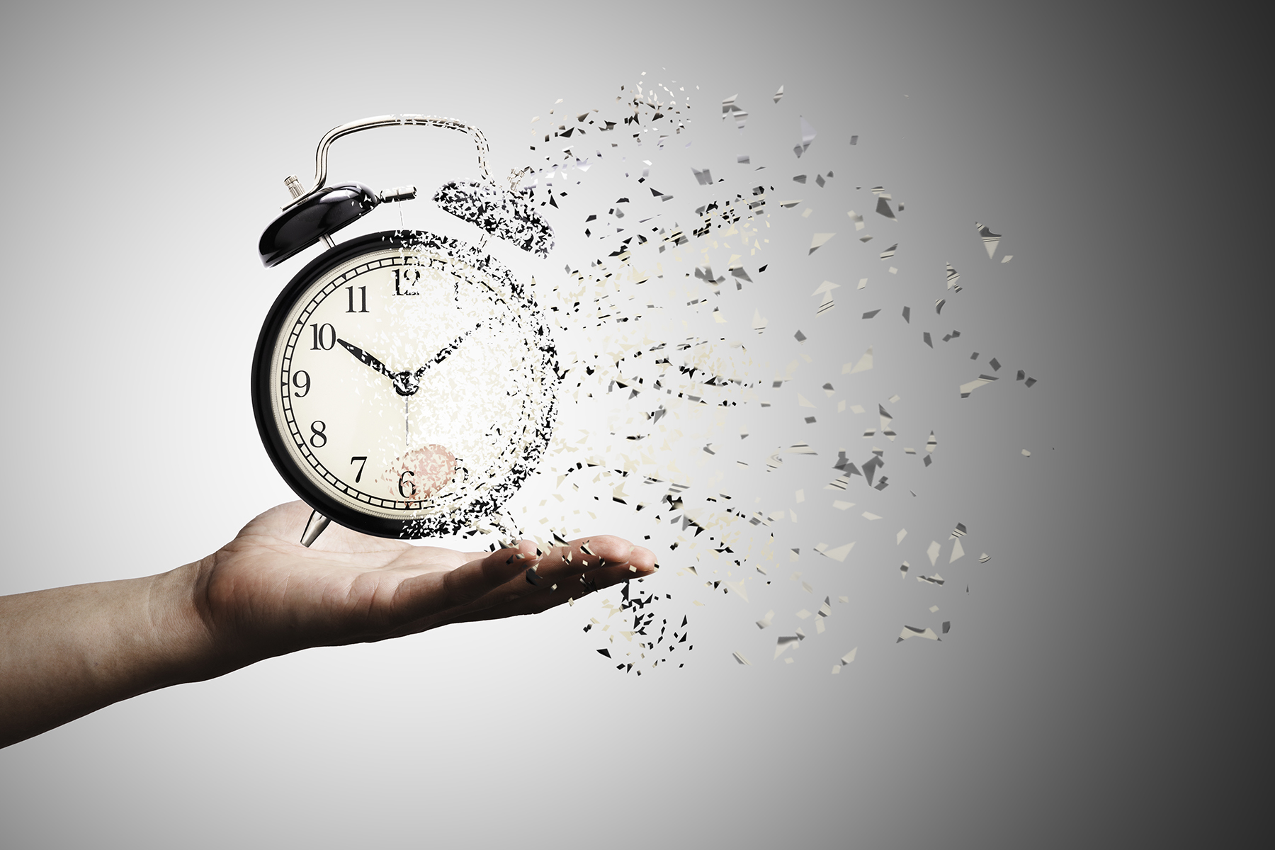 Les gènes horloge